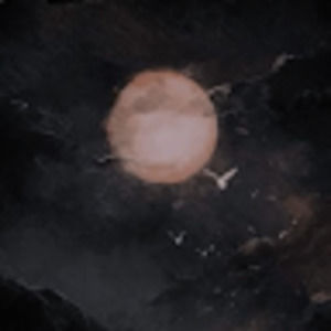 Meet your Posher, Vicky